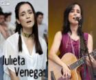 Julieta Venegas, Meksikalı bir şarkıcı olduğunu